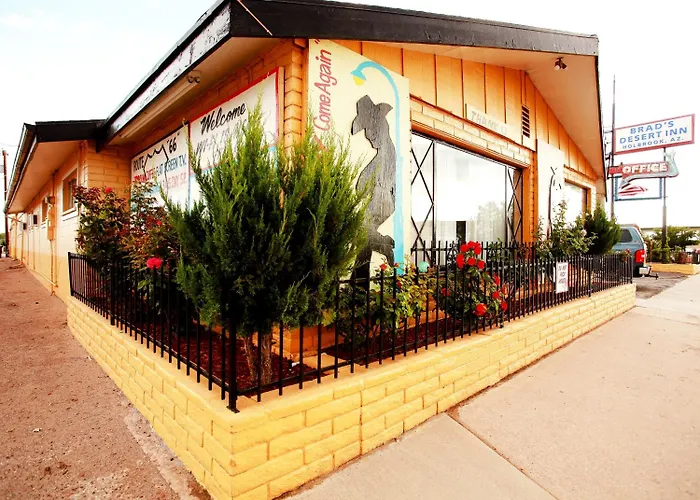 Brad's Desert Holbrook